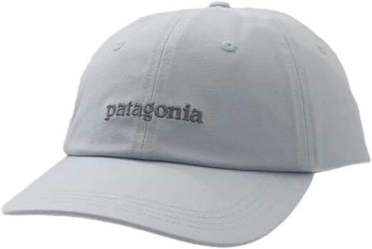 週末限定セール!!!! Patagonia パタゴニア フィッツロイ・アイコン・トラッド